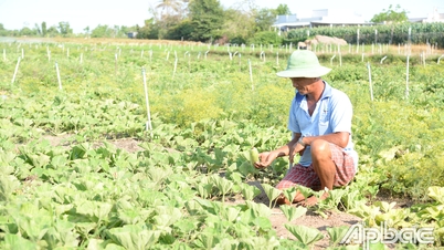 ការជ្រៀតចូលទឹកប្រៃថយចុះ កម្រិតទឹកក្នុងតំបន់ Go Cong Freshening កើនឡើងជាលំដាប់