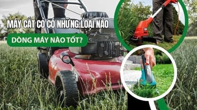 Máy cắt cỏ có những loại nào, dòng máy nào tốt?