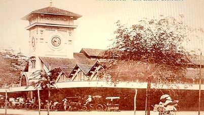Cặp đôi phố thị sung mãn