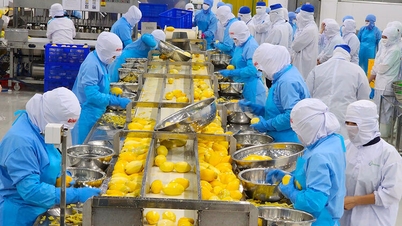 Nhiều kết quả tích cực từ thực thi FTA tại An Giang