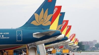 Thêm các chủng loại tàu bay được nhập khẩu vào Việt Nam