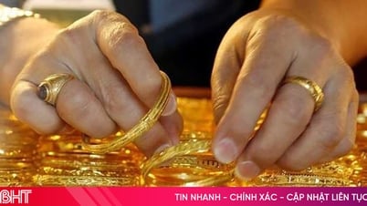 전문가들은 국내 금값이 앞으로도 계속 오를 것으로 예측하고 있다.