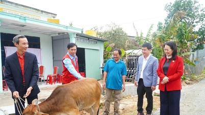Hội Chữ thập đỏ Quảng Nam đồng hành, hỗ trợ ngư dân yên tâm bám biển
