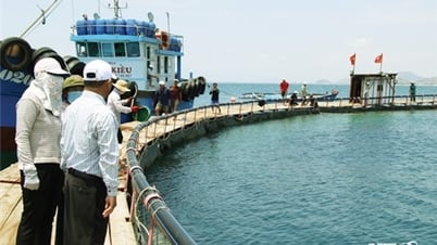 Promoting improvement of investment environment, aiming for growth target