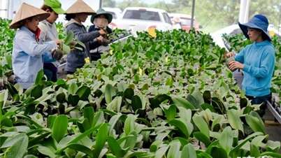 High-tech agriculture reaches the finish line early