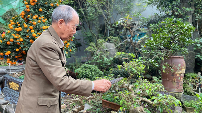 Disabled soldier becomes billionaire from stone carving