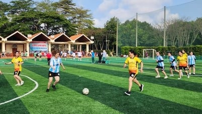 Hoạt động thể thao gắn kết công nhân, lao động