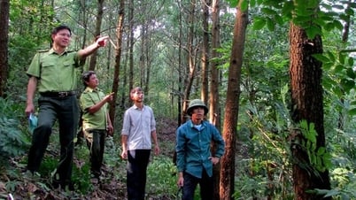 Thách thức là cơ hội tái cơ cấu sản xuất, ngành hàng, thị trường ngành nông nghiệp
