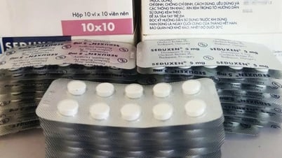 Chủ tịch Hội Dược học TPHCM: "Phóng viên Dân trí ghi nhận rất chính xác"