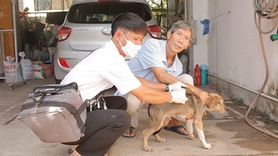 Strengthening management and vaccination against rabies for dogs and cats