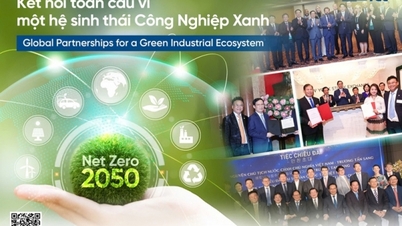 SAIGONTEL: Tiên phong dẫn dắt chuyển đổi năng lượng xanh trong hệ sinh thái khu công nghiệp Việt Nam