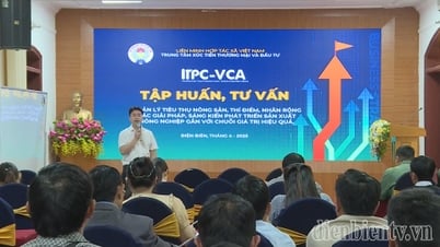 Tập huấn quản lý tiêu thụ nông sản và phát triển sản xuất nông nghiệp gắn với chuỗi giá trị