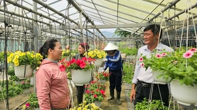Codo a codo con los agricultores para desarrollar la economía