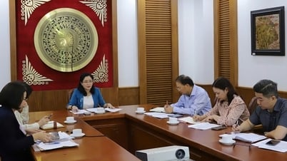 문화체육관광부 차관 Trinh Thi Thuy는 베트남 소수민족 문화부와 협력합니다.