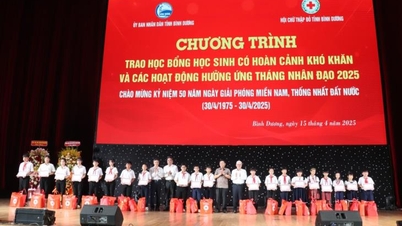 ข่าวสารกิจกรรม - สภากาชาดจังหวัดบิ่ญเซือง : มีกิจกรรมมากมาย...