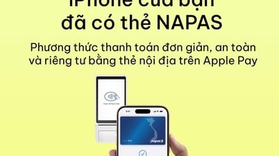 Apple Pay - Thêm ‘mảnh ghép’ mở rộng hệ sinh thái thanh toán số tại Việt Nam