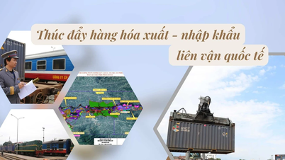 Promote international import and export goods