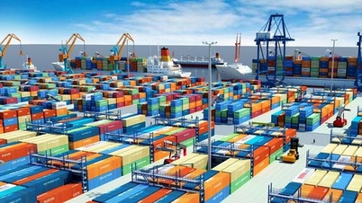 Hướng dẫn xử lý biện pháp phòng vệ thương mại áp dụng đối với hàng hóa xuất khẩu của Việt Nam