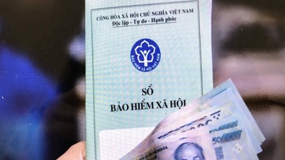 Nên bảo lưu để đóng tiếp BHXH hoặc chờ đủ tuổi hưu