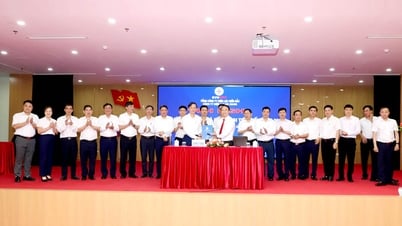Conference of workers and advanced models in the Electricity industry in 2025