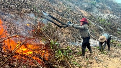 Cảnh báo cháy rừng cấp cực kỳ nguy hiểm
