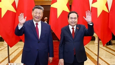Building a solid foundation for sustainable development of Vietnam-EU relations