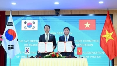 Việt Nam - Hàn Quốc hướng tới thương mại song phương 150 tỷ USD vào năm 2030