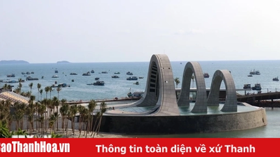 The whole country formed 11 special economic zones belonging to the province from island districts.