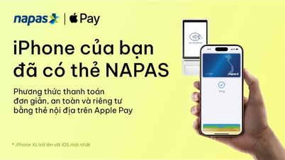 Deploying Apple Pay for domestic NAPAS cards in Vietnam