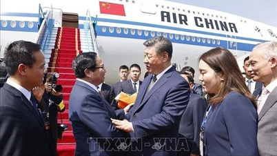 Prime Minister Pham Minh Chinh went to the airport to see off General Secretary and President of China Xi Jinping.
