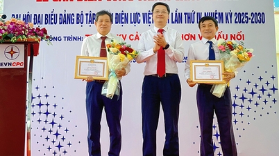 Lễ gắn biển công trình Trạm biến áp 110 kV Cảng Quy Nhơn