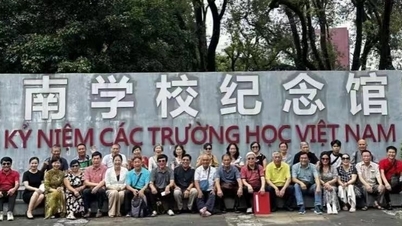 Vietnam-China educational cooperation: Bridging intellectuals, strengthening friendship