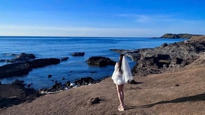 Không cần đi Bali, ở Việt Nam cũng có nơi lặn ngắm san hô đẹp ngỡ ngàng