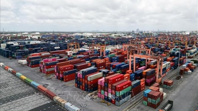 전자 원산지증명서(CO): 기업은 수출 기회를 극대화하기 위해 철저한 준비를 해야 합니다.