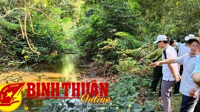 Binh Tuy Provincial Party Committee Base – A heroic historical mark in the resistance war against America