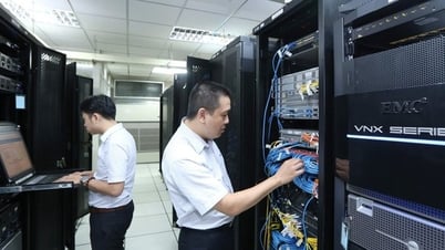 Từ trải nghiệm nội bộ đến tư duy 'sống còn' của doanh nghiệp