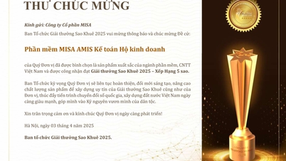 [Announcement] MISA AMIS Accounting Software for Business Households won the highest award at Sao Khue 2025