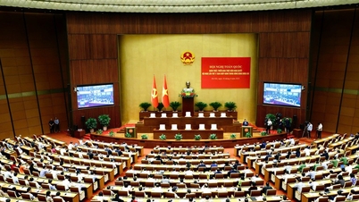 Hội nghị toàn quốc quán triệt, triển khai Nghị quyết Trung ương 11 khóa XIII
