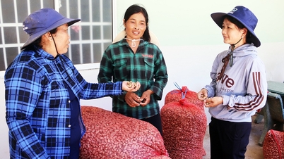 Thanh Hoa Son converts production towards climate change adaptation