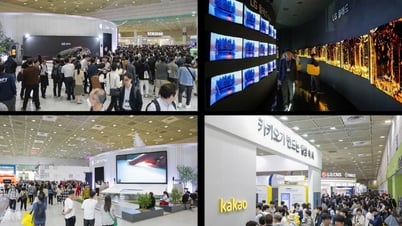 CMC at WIS 2025: Go Globalへの道における戦略的ステップ