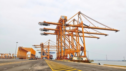 Strong steps of Hai Phong Port on the journey of international integration - Vietnam National Shipping Lines - VIMC