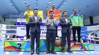 La délégation de Dak Lak a remporté 08 médailles au Championnat national de boxe 2025 pour les équipes fortes