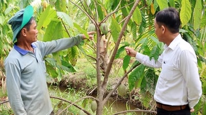 ចម្លងប្រធានបទវិទ្យាសាស្ត្រទៅក្នុងផលិតកម្ម