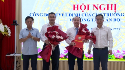 Cục Thống kê tổ chức Hội nghị Công bố Quyết định của Cục trưởng Cục thống kê về công tác cán bộ