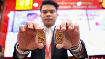 SJC 금 가격은 세계 가격보다 1,460만/태엘 높습니다. 금에 투자할 때 주의해야 할 점은 무엇입니까?