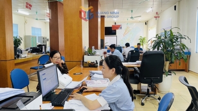 ស្រុក Van Don៖ ធានាបាននូវគោលដៅកំណើនសម្រាប់ត្រីមាសទី១ ឆ្នាំ២០២៥