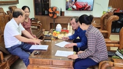 Hai Ha: Completed collecting public opinions on the Project on administrative unit arrangement