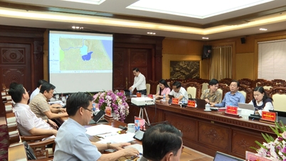 Ban Chỉ đạo sắp xếp đơn vị hành chính cấp xã và tổ chức chính quyền địa phương 2 cấp họp triển khai nhiệm vụ