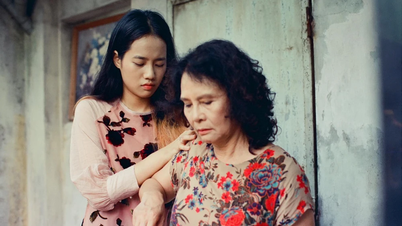 ភាពយន្តវៀតណាម "Cu li khong bao cry" បានឈ្នះពានរង្វាន់ភាពយន្តល្អបំផុតនៅមហោស្រពភាពយន្តអាស៊ីលើកទី 22