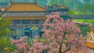 "Festival Nhiếp ảnh quốc tế Việt Nam" lần thứ ba, năm 2025 tại thành phố Huế